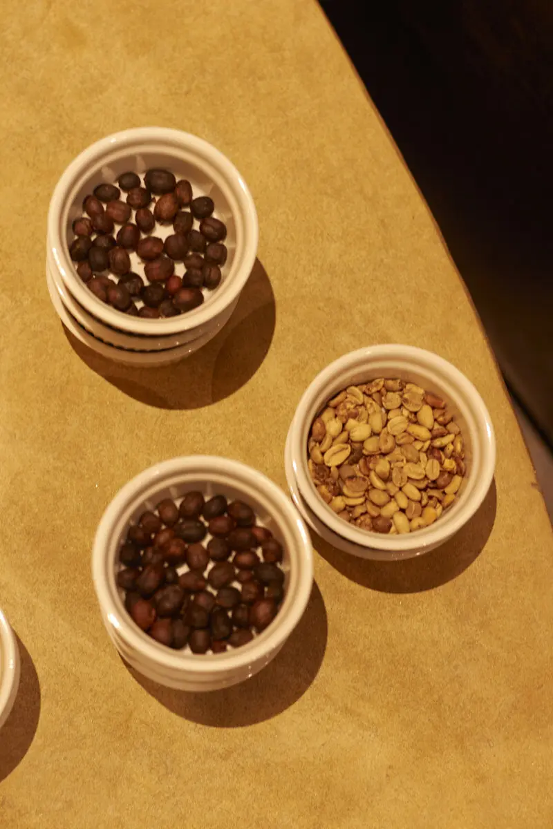 The Coffee Experience